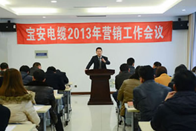 寶安電纜2013年?duì)I銷工作會(huì)議隆重召開